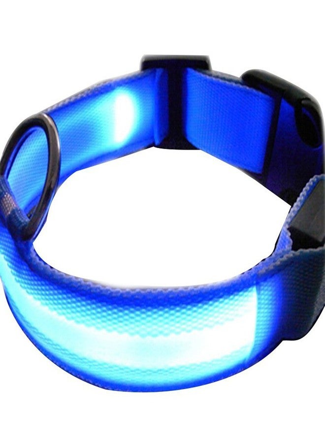 Futaba Nylon Pet Glow in Dark LED Collar Night Safety - Blue - Large - Image 1